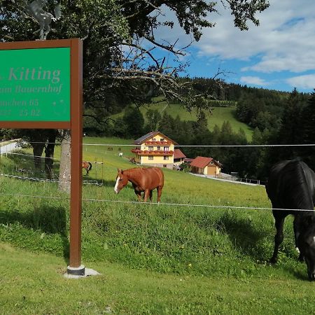 Urlaub Am Bauernhof Familie Kitting Villa Vorau Dış mekan fotoğraf