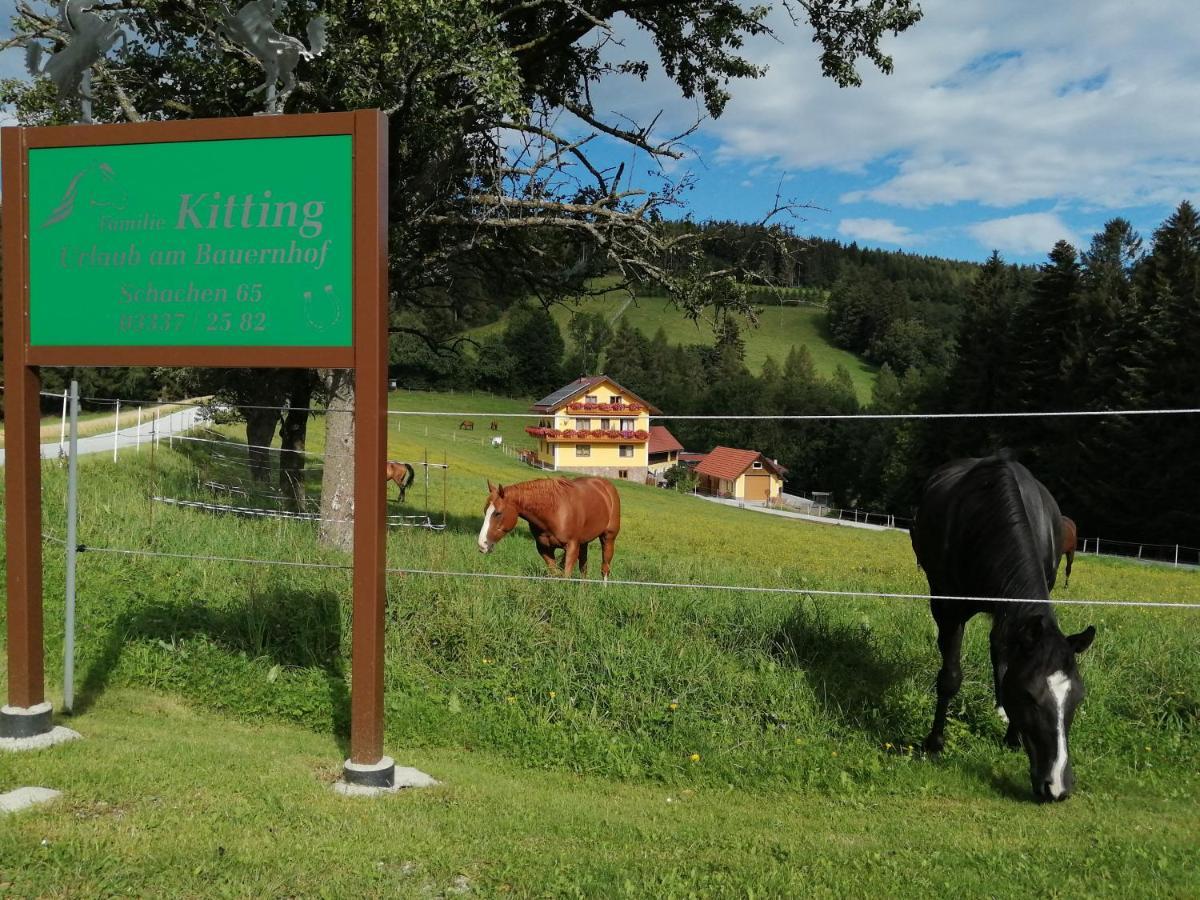 Urlaub Am Bauernhof Familie Kitting Villa Vorau Dış mekan fotoğraf