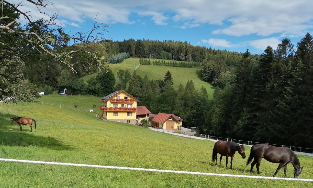 Urlaub Am Bauernhof Familie Kitting Villa Vorau Dış mekan fotoğraf