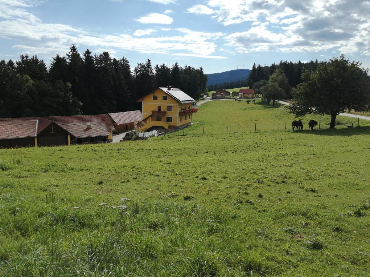 Urlaub Am Bauernhof Familie Kitting Villa Vorau Dış mekan fotoğraf