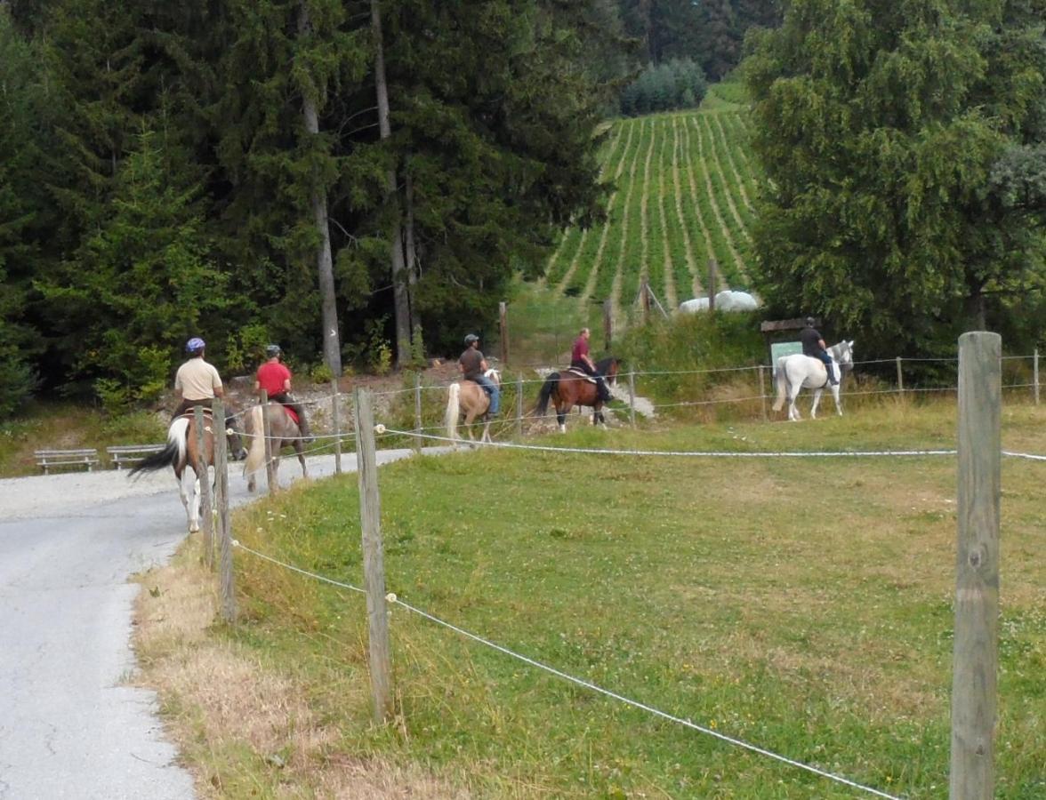 Urlaub Am Bauernhof Familie Kitting Villa Vorau Dış mekan fotoğraf